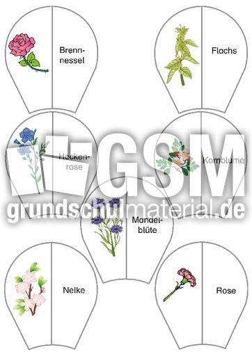 KD-Blumen 3.pdf